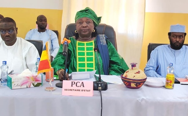 Tchad : le conseil d'administration de l'UNABA se penche sur les orientations stratégiques