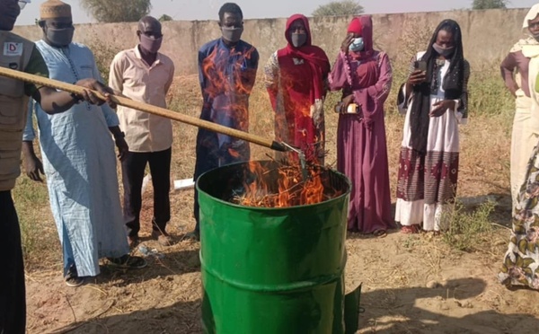 Tchad : formation en entrepreneuriat vert à Mongo, 100 bénéficiaires pour valoriser les déchets organiques