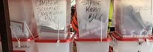 RCA : Vers des élections partielles pour compléter les institutions locales et nationales