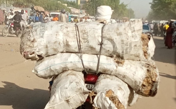 Tchad : transport, le poisson fumé exposé à la poussière et aux mouches