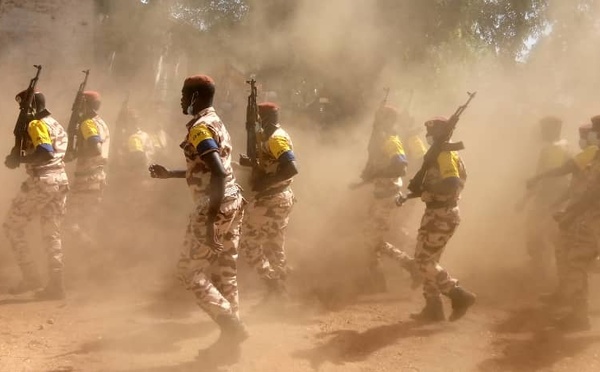 Tchad : deux officiers radiés des effectifs des armées