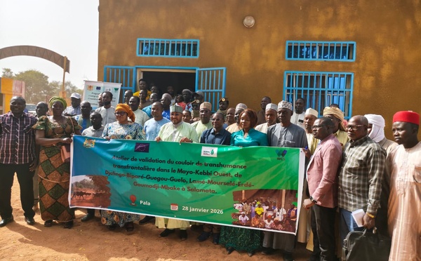 Tchad : des couloirs de transhumance pour prévenir les conflits agro-pastoraux au Mayo-Kebbi Ouest