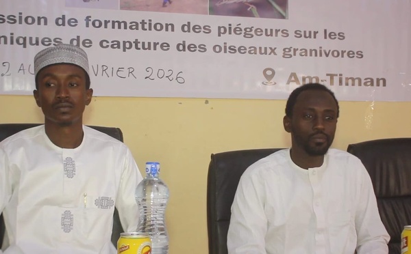 Tchad : 30 agriculteurs formés pour protéger le berbéré