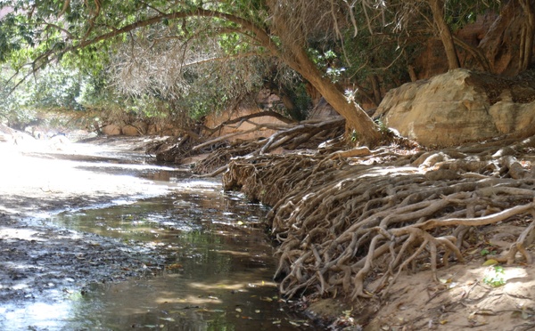 Tchad : un touriste toujours porté disparu après une excursion