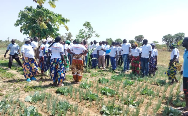 Tchad : les agripreneurs en visite d’échange à Kélo pour renforcer leurs compétences