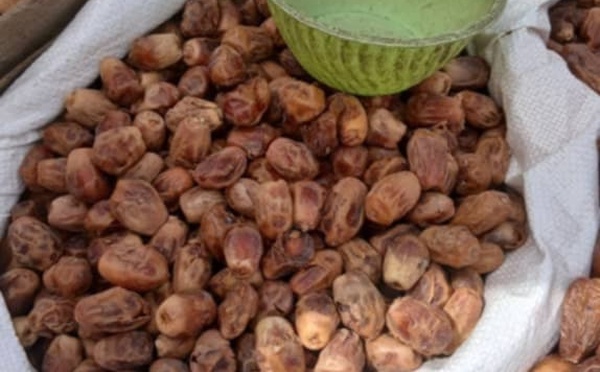 Tchad : les dattes, des fruits aux multiples bienfaits, très consommés pendant le mois de Ramadan