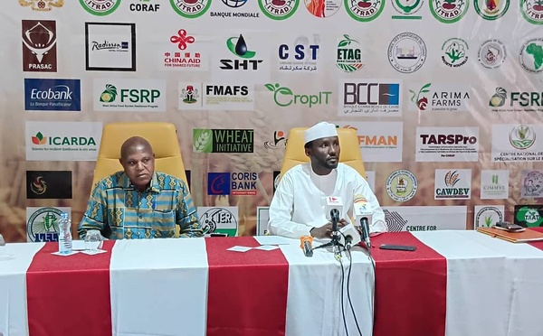 إنجامينا تستعد لاحتضان المؤتمر الإقليمي الثالث حول القمح في غرب ووسط إفريقيا
