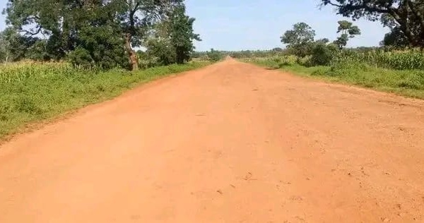 Tchad : insécurité à Ndjikette, un cultivateur tué par des hommes armés