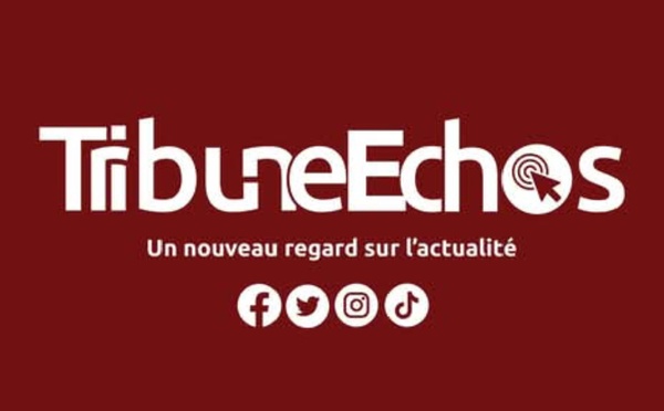 Tchad : La direction de Tribune Échos inculpée suite à une plainte de l’hôpital de la Renaissance
