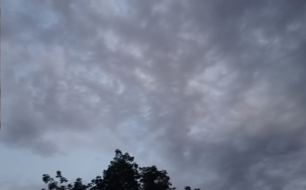 Tchad : au Guéra, la première pluie de l'année annonce le retour des activités agricoles