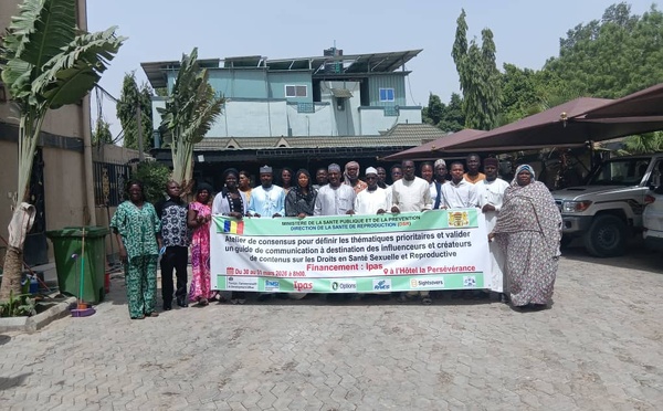افتتاح ورشة عمل حول الصحة الإنجابية في انجامينا