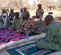 Tchad : des individus traqués et retrouvés après le vol de 114 bœufs à Mangalmé