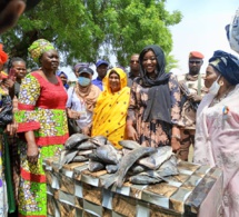 Tchad : des frigos et tables offertes aux femmes vendeuses de poissons de Dembé et Chagoua
