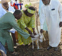 Tchad : une délégation ministérielle mène une campagne de vaccination et de marquage des animaux au Lac