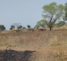 Tchad : nouvelle tentative d'enlèvement contre rançon à Goumadji, un blessé