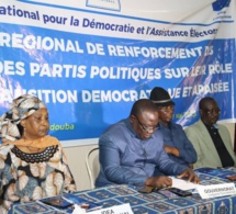 Tchad : l’IDEA renforce les capacités des partis politiques et de la société civile à Moundou