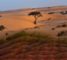 Urgence environnementale au Tchad : Face aux défis des catastrophes naturelles et du changement climatique