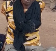 Tchad : des voleurs de bétail appréhendés à Dankoutou, un propriétaire déterminé