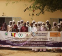 Tchad : le renforcement des capacités des éleveurs au centre d'un atelier au Kanem