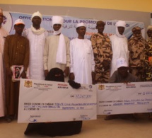 Tchad : 20 jeunes de Mao bénéficient des chèques de l'ONAPE