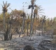 Tchad : Incendie à Mao détruit des cultures dans le Ouadi de Djougou