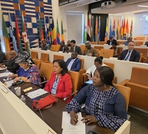 Tchad/États-Unis : L'Ambassadrice Kitoko Gata Ngoulou participe à la réunion du Corps Diplomatique Africain à Washington