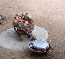 Le peuple Mambaye du Cameroun et du Tchad célèbre son unité culturelle à Biparé
