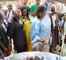 Tchad : l’Université de Sarh célèbre la cohésion sociale et ouvre ses portes au public