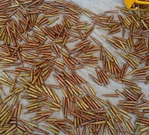 Tchad : Munitions, faux papiers, alcools toxiques et complicités dévoilés