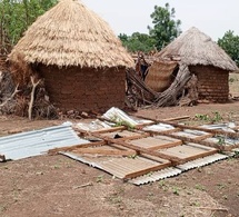 Tchad : Un éléphant en divagation et une tornade dévastent Kassélem Centre