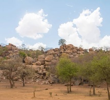Tchad / Tourisme : Des merveilles naturelles silencieuses sur la route de Zakouma