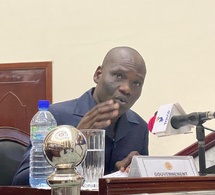 Tchad : La dissolution de la STEE approuvée par l'Assemblée Nationale