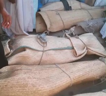 Tchad : drame sur le lac Fitri, 11 morts dans le renversement d’une pirogue dans le Batha