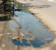 Tchad : à N’Djamena, les déchets plastiques sont un potentiel inexploité
