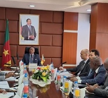 Cameroun/Tchad : Aménagements socio-économiques du Pont sur le Logone en pleine accélération