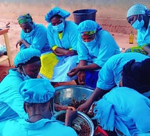 Tchad : au Mandoul, le néré est le nouveau levier d’autonomisation des jeunes
