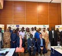 Tchad : Le COPIL du projet PETRADEP réoriente ses actions pour la résilience du Lac Tchad