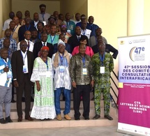 Tchad : La 47e session des Comités Consultatifs Interafricains du CAMES bat son plein à N'Djaména