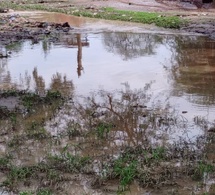 Tchad : La Mairie de Mongo crée un comité de gestion de l'eau de pluie pour prévenir les inondations