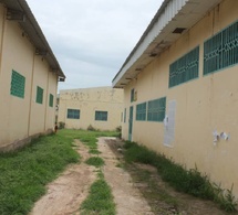 Université de N’Djamena : une expansion accélérée de la Faculté de Droit