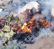 Tchad : Le Secrétaire Général du Kanem incinère des produits prohibés