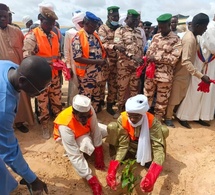 Tchad : Lancement de la Semaine nationale de l'arbre 2025 à Bol