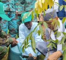 Tchad : lancement de la semaine de l’arbre édition 2025 dans le Logone Occidental