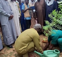 Tchad : Lancement de la Semaine Nationale de l'Arbre dans le Salamat