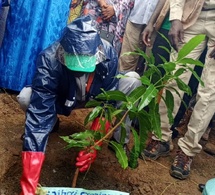 Tchad - Guéra : Lancement de la Semaine Nationale de l'Arbre 2025 à Mongo