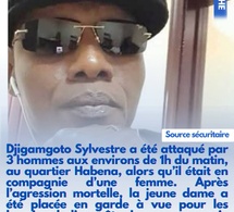 Tchad : Un employé du Radisson Blu assassiné à N'Djamena