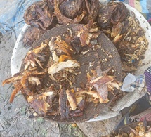 Tchad : L'insalubrité du poisson séché au marché de Dembé