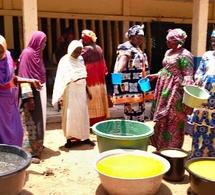 Tchad - Moyen-Chari : Des femmes transforment le karité en levier d’autonomie économique