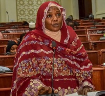 Tchad : Les députés approuvent la création d'une commission spéciale sur la révision de la Constitution
