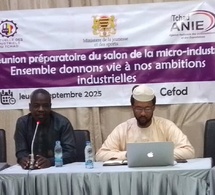 Tchad : vers un Salon de la Micro-Industrie pour stimuler l’économie locale